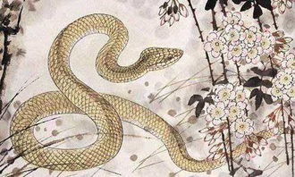 蛇进公司财务室己亥日是凶是吉？己亥日蛇进家是吉是凶？