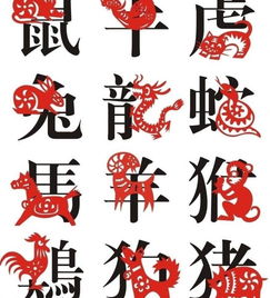 十二生肖的五行属性具体指的是什么？