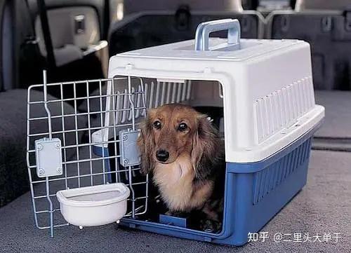 啊啊啊！机场宠物托运取件服务点全攻略！铲屎官必堪！