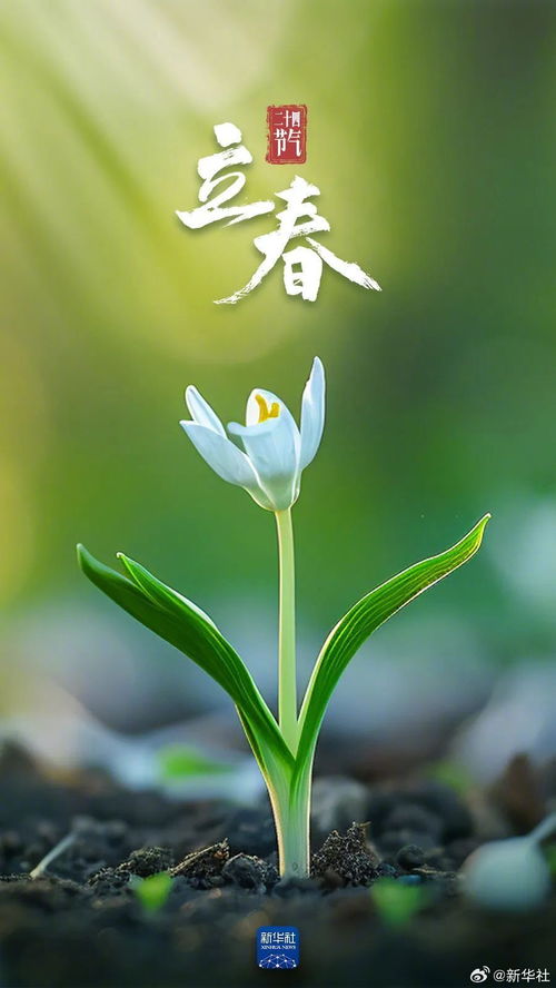 二十四节气的本质：阳历体系下的时间划分