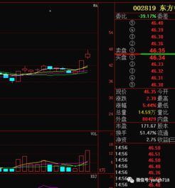 4.1 属兔者与东方木属性的共振