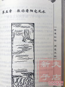 五、 墓葬堪舆专论及综合入门指南