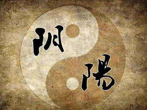 八字中，年柱以财星为主，请问这代表什么含义？