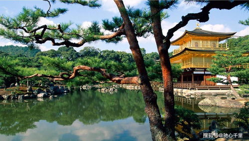 三、 文化象征与美学价值的交叉映射