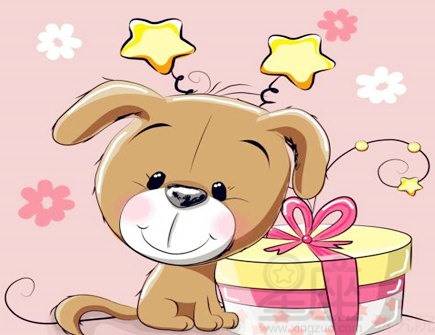 如何提升1970年属狗女性的桃花运？