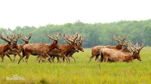 购票骚操作：比渣男套路还深