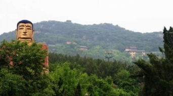 N种花钱姿势等你解锁