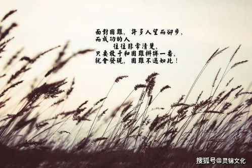 风水大师，能否解释一下这句经典语句：‘山不在高，有仙则名；水不在深，有龙则灵’的含义？
