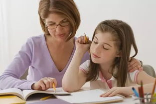 3.1 营养均衡：奠定健康基石