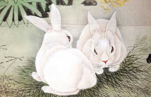 1999年属兔男性格特点和缺点分别是什么？