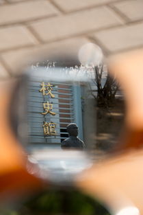 二、 社会周边环境文化底蕴映射：身份转换与网络崭新业态