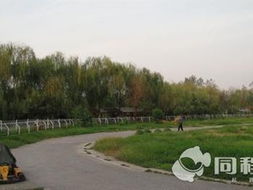 风景？不如看小区绿化带！