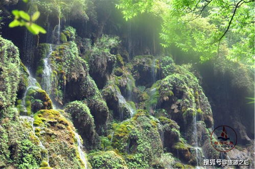 餐饮黑幕：比地沟油还刺激