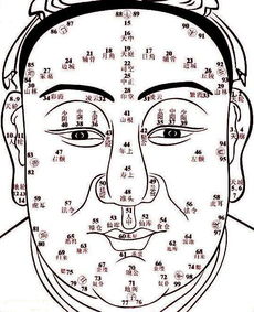 韩国综艺《随心面相》看面相收费多少？真实面相解析靠谱吗？