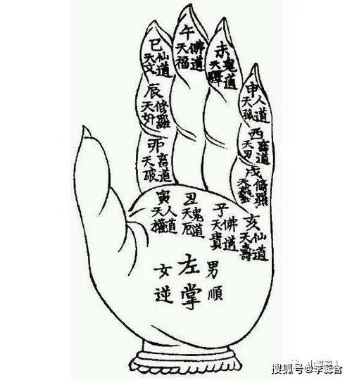 八字命理学与因果观本质区别何在？易学因果观如何体现？