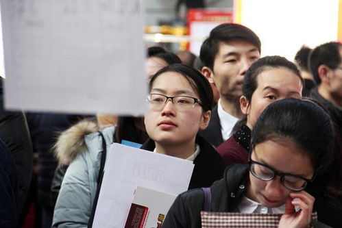 政策概述与制度框架