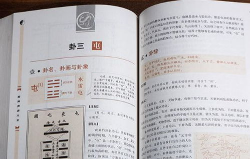 2. 《周简单》文本结构及其解读策略