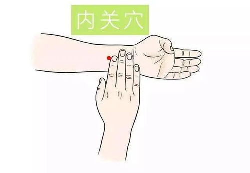 2. 指压与艾灸的实操应用