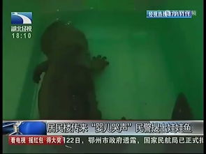 诡异的开端：午夜啼哭与隐秘传说