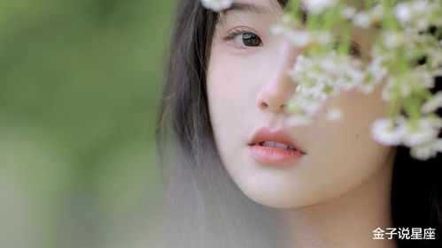 龙与火属性之结合示例