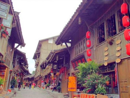 隐藏的千年宝藏， 免费却无人问津