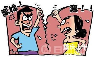 哪些生肖女离婚率最高，哪些生肖女最能管得住老公？