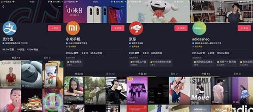 误区一：过于繁杂或生僻的字词