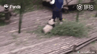 啊啊啊！这些琳字名也太神仙了吧！