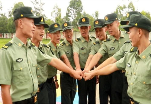 如何三小时内学会看八字，准确判断适合当兵的人？