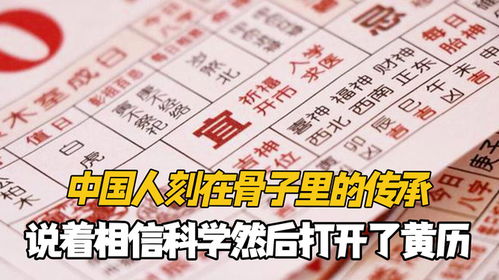 黄历中的收黑指的是什么？