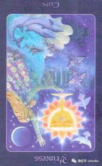 圣杯侍从正位爱情复合，逆位感情破裂，如何挽回这段感情？