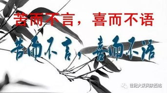 双子座男性：知识积累与人际关系的精妙平衡