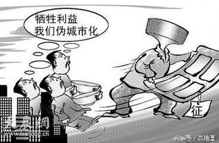 农民的生肖究竟是什么？