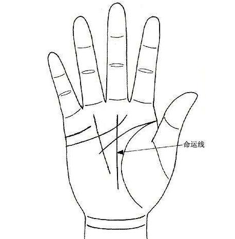 一、 食指–中指间隙（人际佳缘纹）