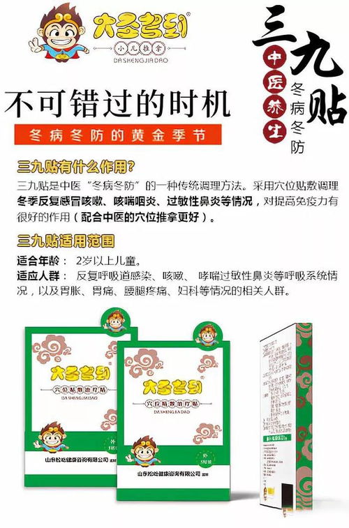 概念阐释及历史持续发展渊源