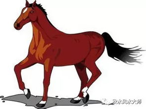 2026年属马9月爱情运势中，转运最旺的物件是什么？