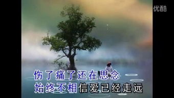 梦境概述与研究背景