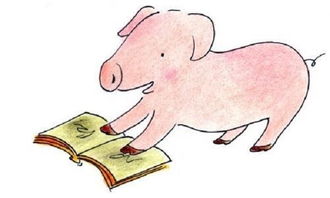 2026年生肖猪运势分析具体包括哪些方面？