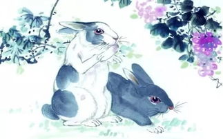 2025年属兔的考运究竟如何，是吉是凶，能否一展鸿图？