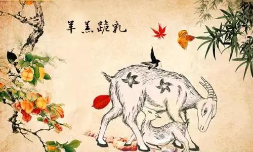 概述：2023年下半年属狗人整体运势的学术性阐释