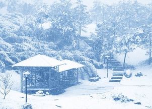 1.《断梦秘书》对冰雪之象的概述
