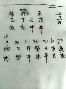 日干属火命的人，想找什么命干的娘来八字？