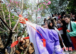 6. 花朝节（农历二月十二）