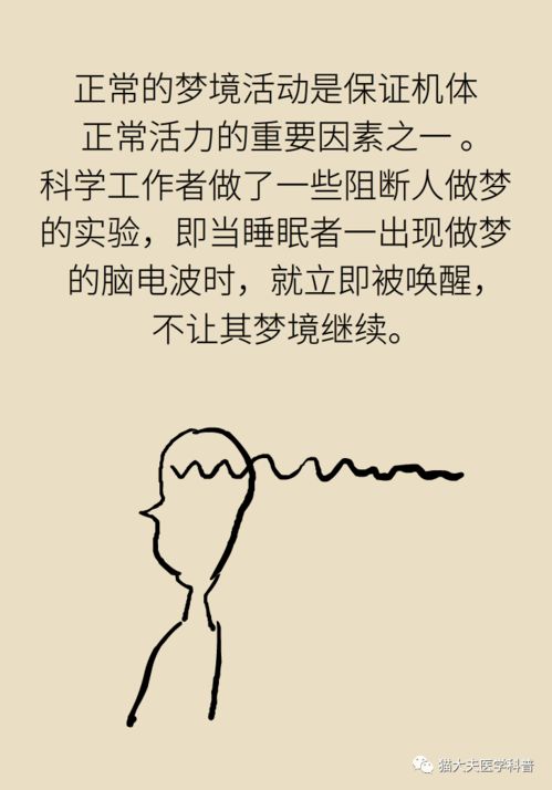 前言：梦境诠释在传统文化中的历史脉络