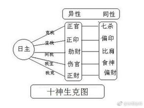 细致剖析：作用机制及情感色彩