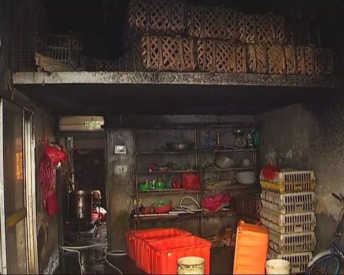 四、 文献对照与跨学科比较