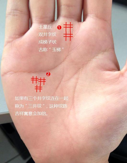 三、 田字纹与职业发展及财富潜力