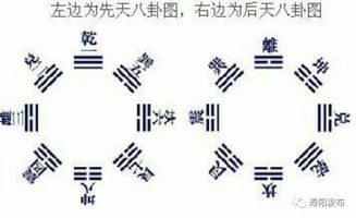 如何通过周易国学大师在线排盘准确解读属鼠之人的命卦？