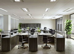 （二）座位后方须设固定支撑——后脑区磁场敏感性分析