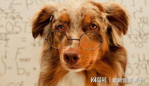 宿命论与现实考量：命运掌握在自己手中